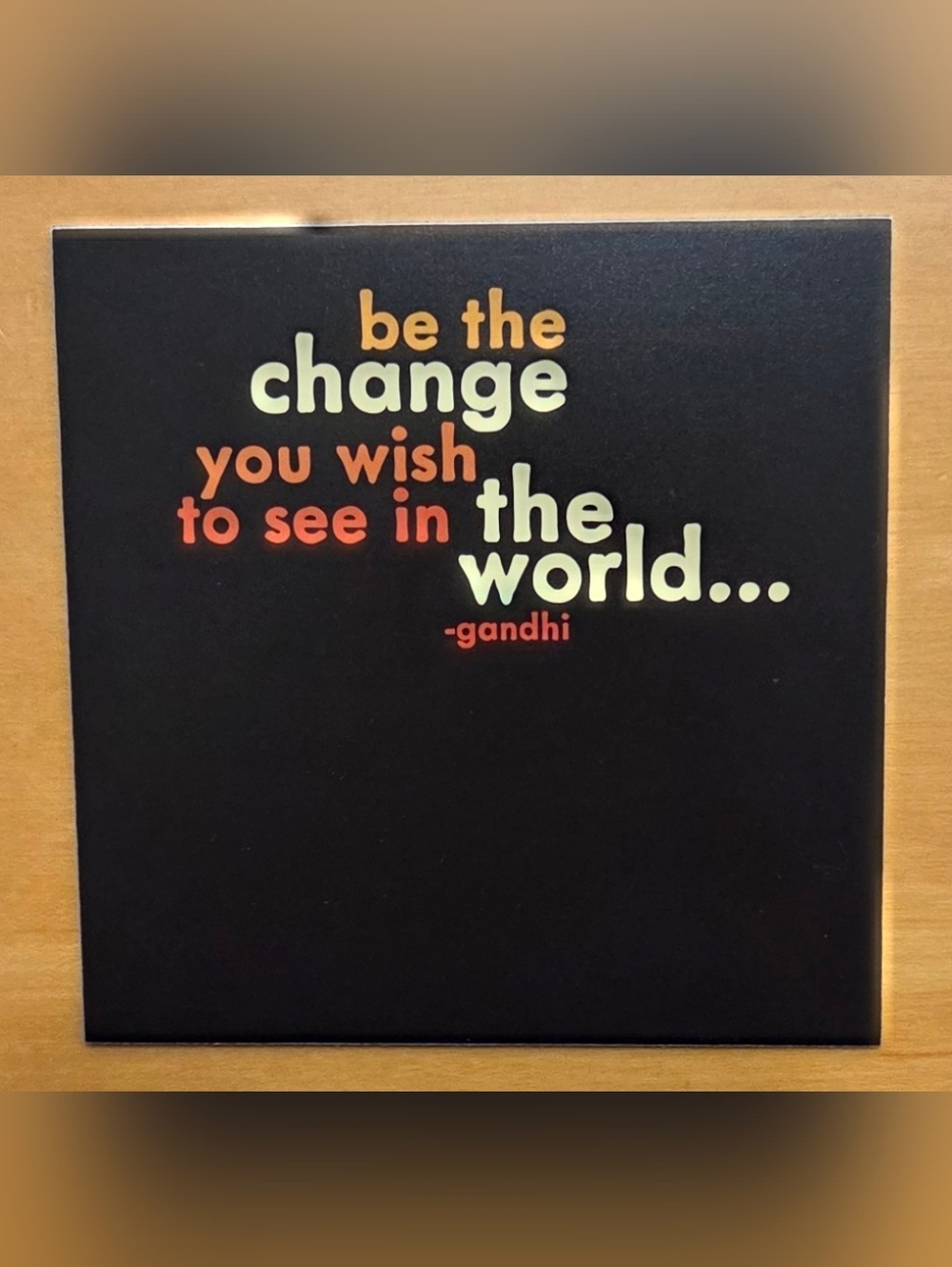 'Be The Change You Wish to See in the World...' Magnet
